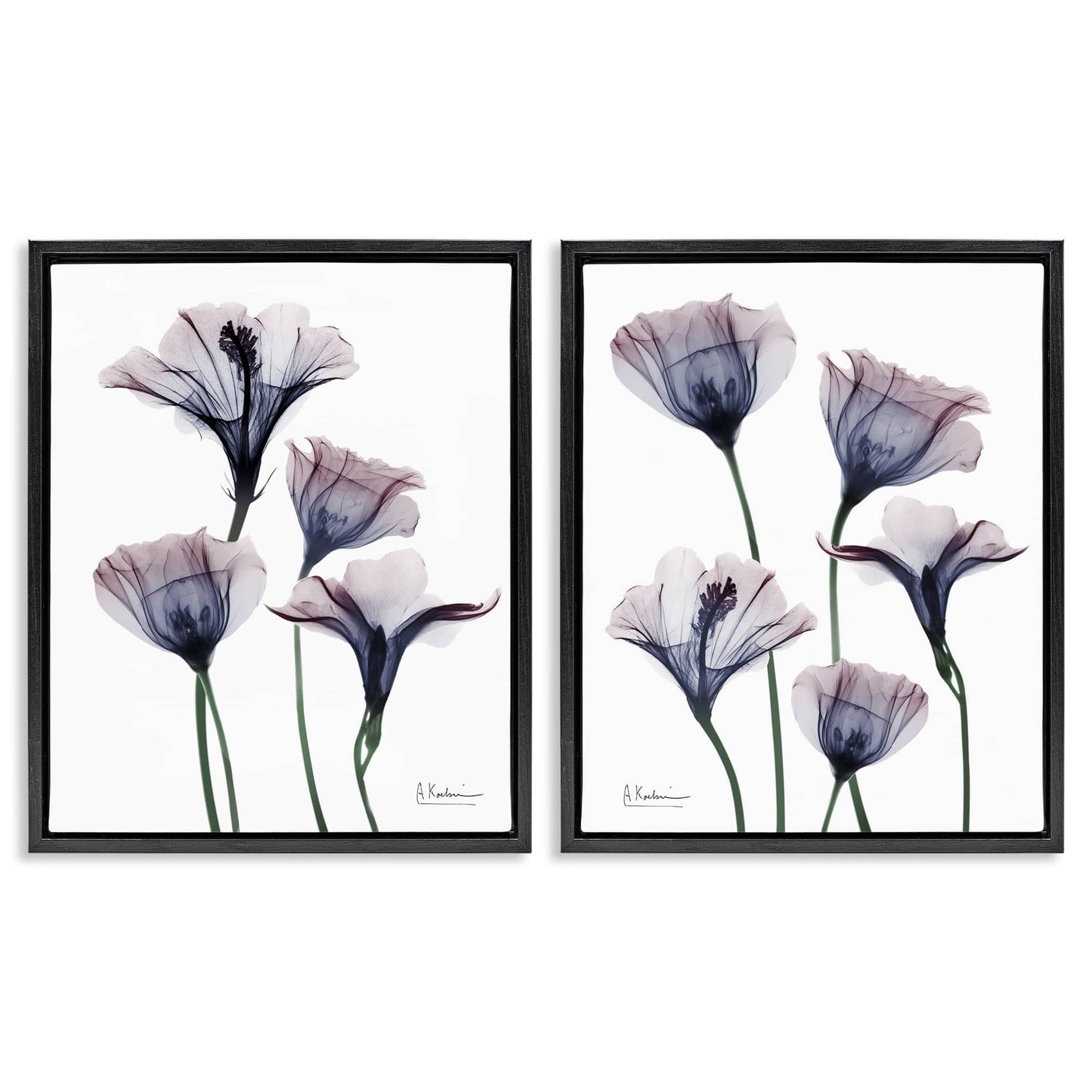 Stupell Industries Bountiful Dusk Lilies 2pc Floating Frame Set Design by Albert Koetsier