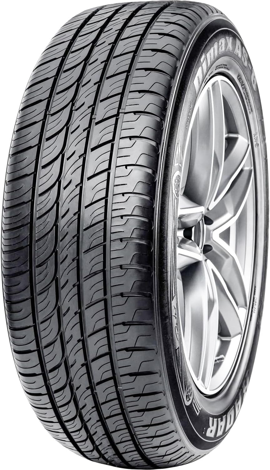Radar Dimax AS 8 215/60R16 95V BSW