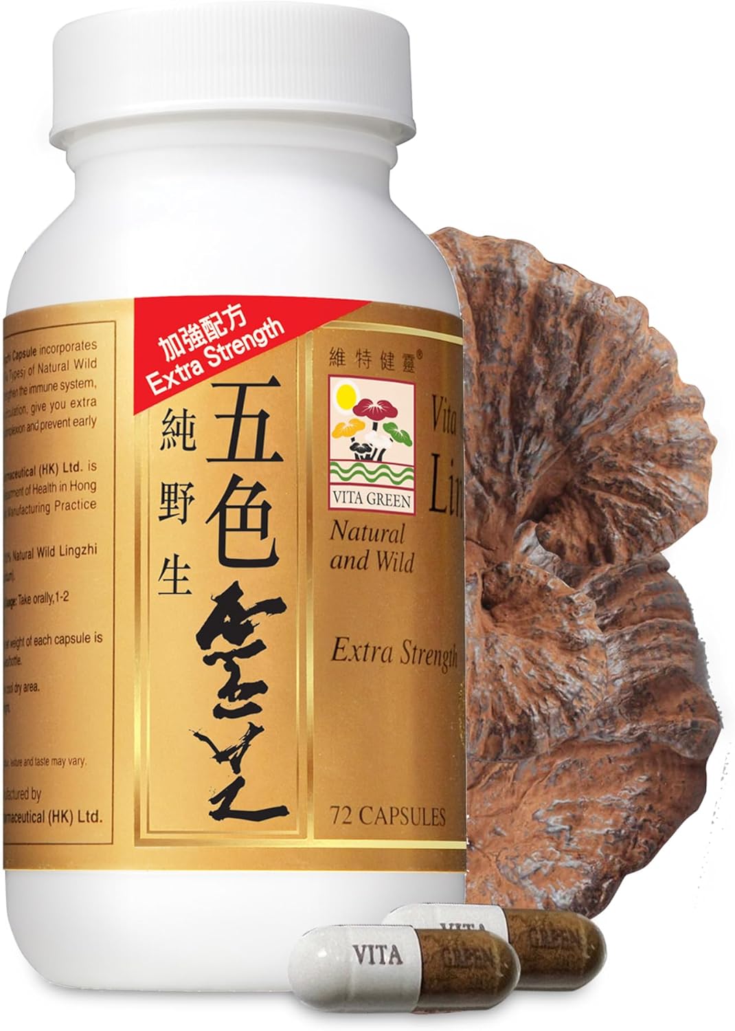 Vita Green Reishi Mushroom Capsules for Energy, Memory, and Immune Support \u2013 Pure Reishi Supplement with Natural Antioxidants for Daily Wellness and Energy \u2013 72 Capsules