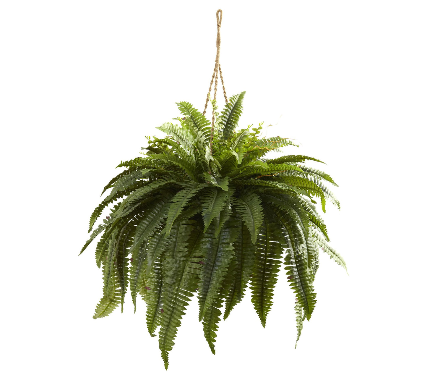 Double Giant Boston Fern Hanging Basket by Nearly Natural