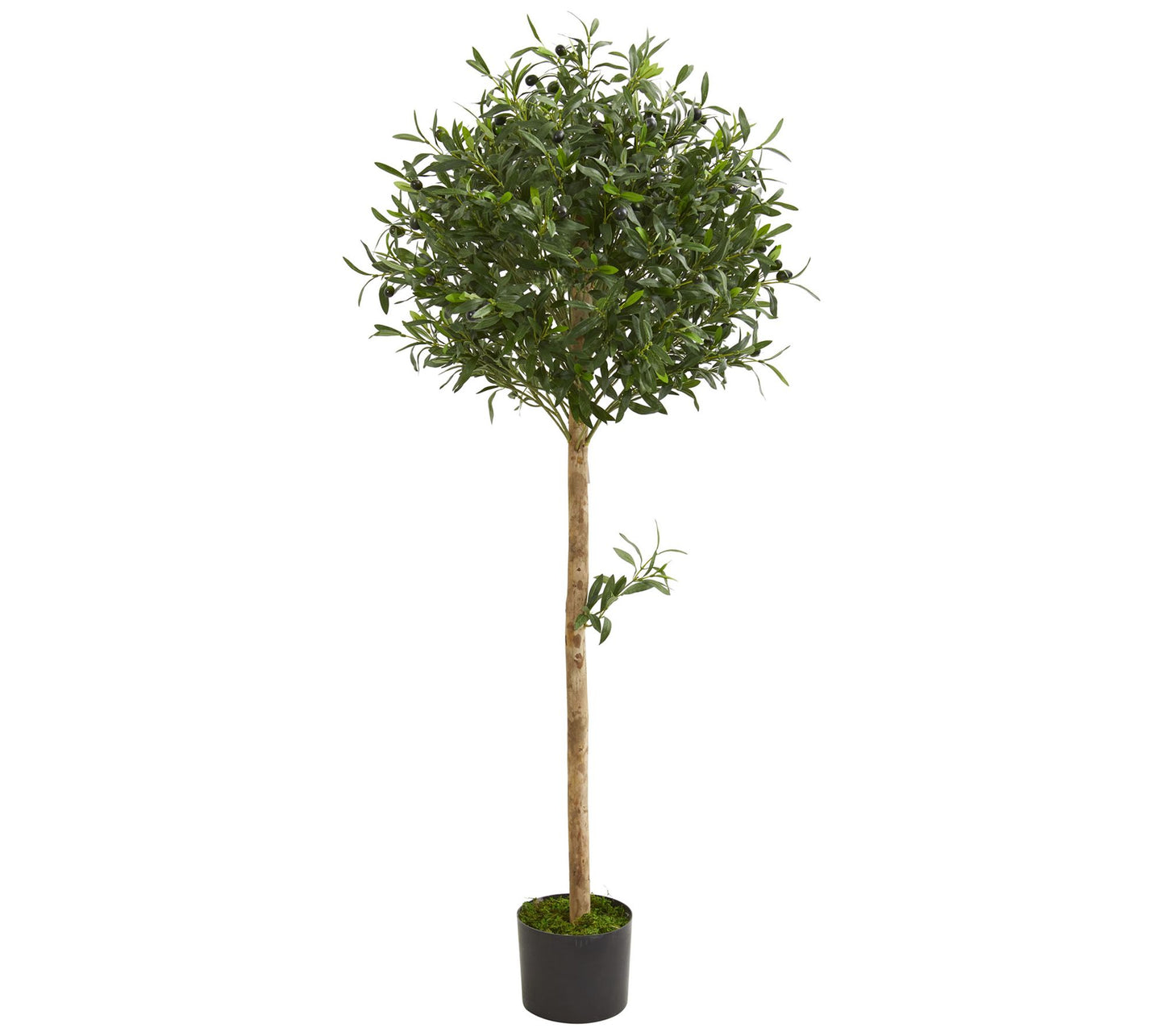 5' Olive Topiary Artificial Tree by Nearly Natural