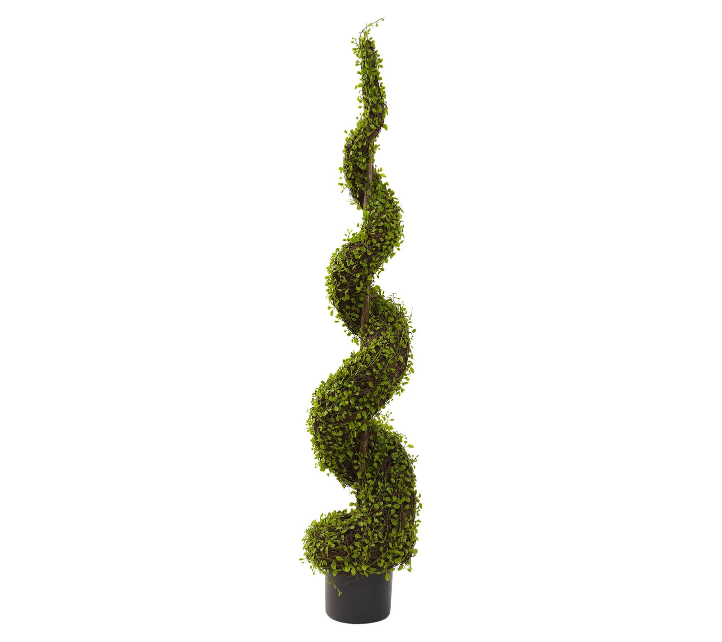 4' Mohlenbechia Spiral Tree by Nearly Natural