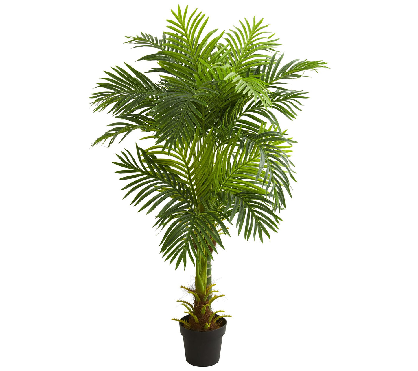 5' Double Stalk Hawaii Palm Tree by Nearly Natural