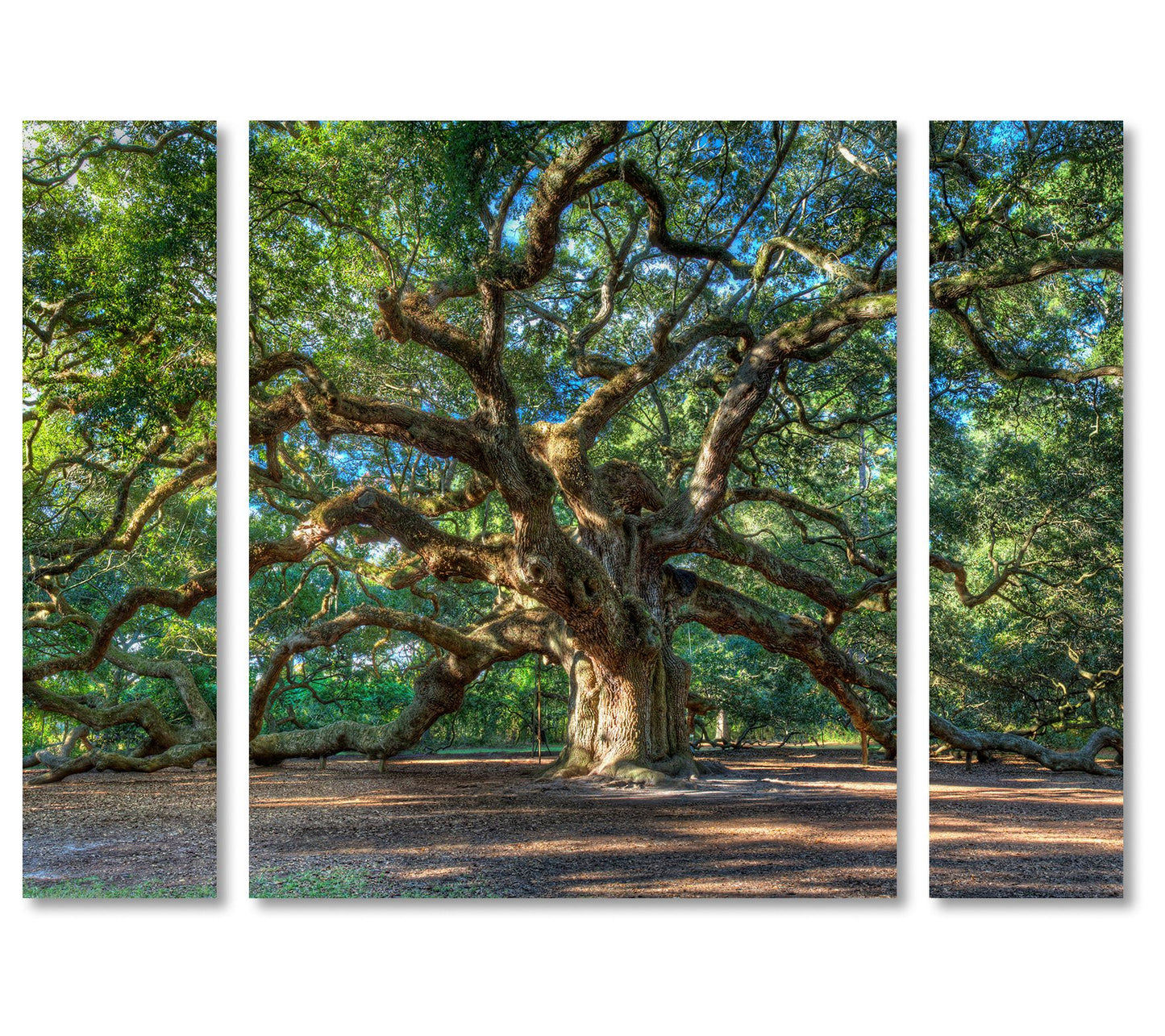 Lavish Home Pierre Leclerc Angel Oak Charleston3-Piece Print