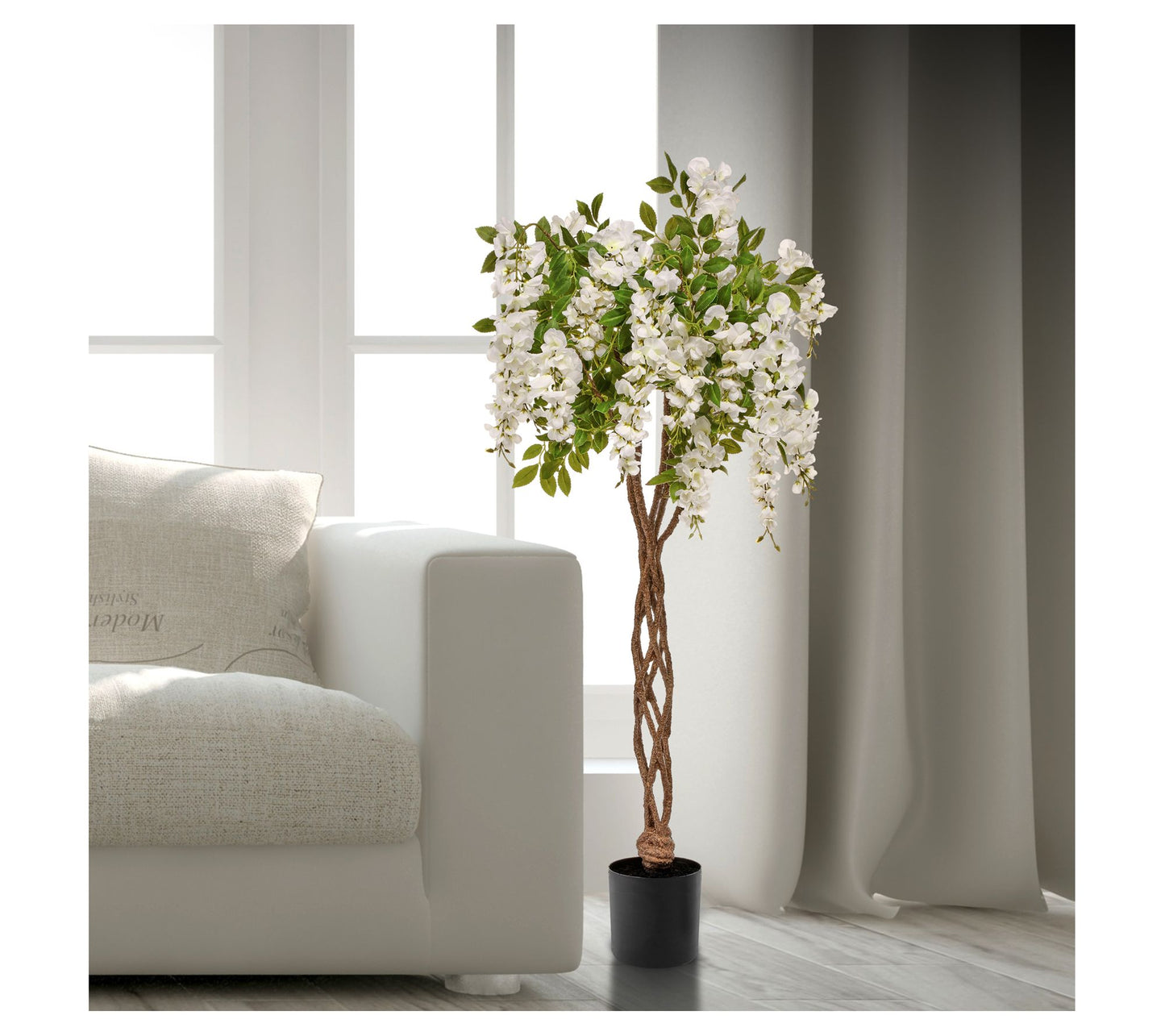 48" Potted Flowering Wisteria Tree by Valerie