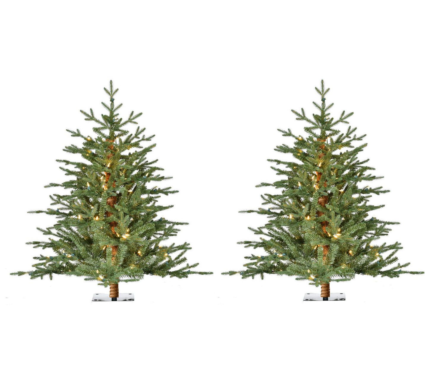 Fraser Hill Farm 3 Ft. Green Alpine Porch Accent Tree Set of 2
