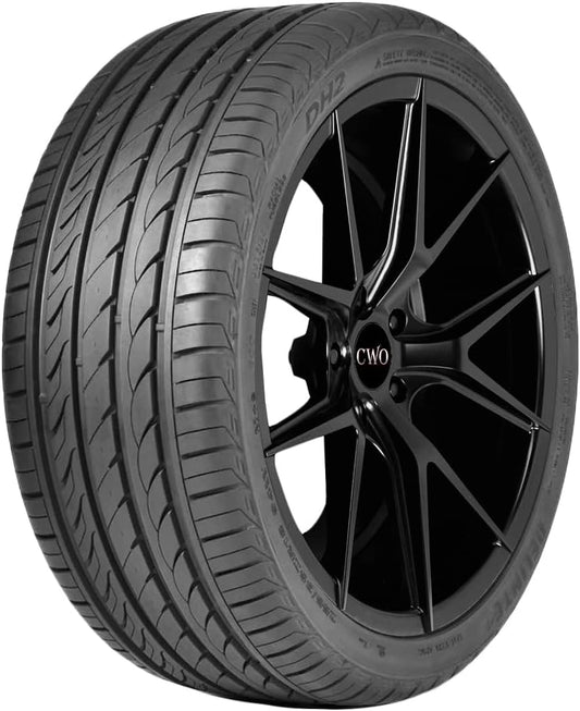 225/50R17 98W DELINTE DH2 XL BW PCR A/S