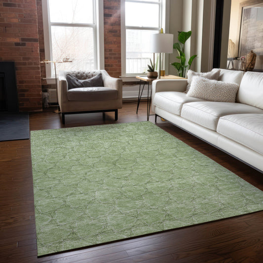 Addison Rugs Chantille ACN960AL 9 x 12 (ft) Loomed Aloe Rectangular Indoor/Outdoor Machine washable Pet Friendly Area rug