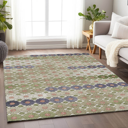 Addison Rugs Chantille ACN1678AL 8 x 10 (ft) Loomed Aloe Rectangular Indoor/Outdoor Machine washable Pet Friendly Area rug