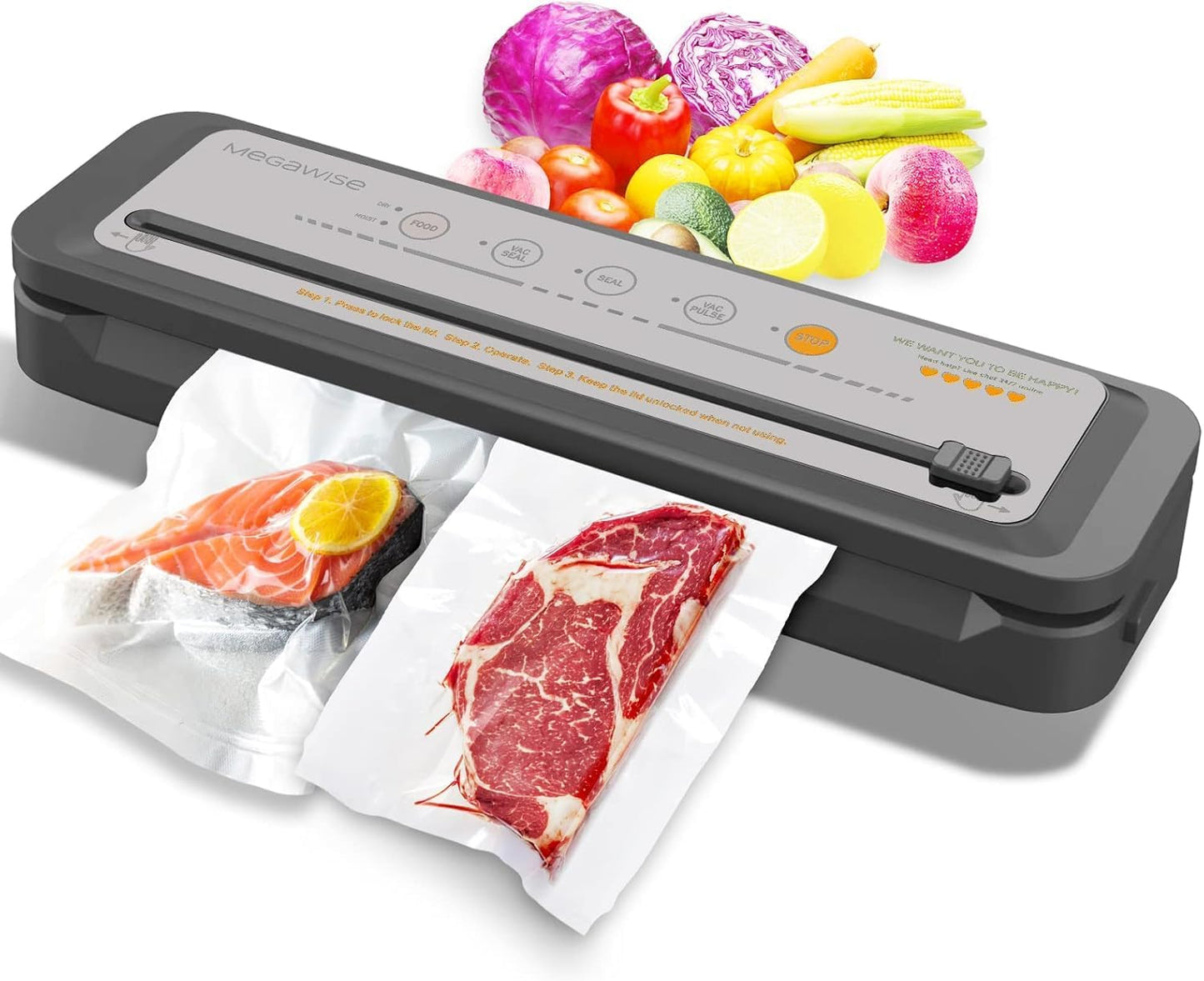 MEGAWISE 202309 Updated Model B w\/ 4 Food Type\/3 Bag Type Selection Food Vacuum Sealer Builtin Cutter for Fresh Saver of all food types moist, dry cold