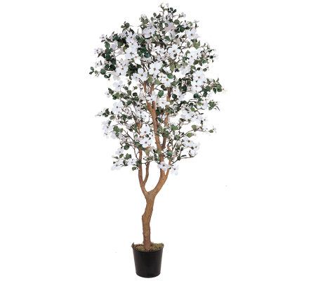5' Dogwood Tree by Nearly Natural