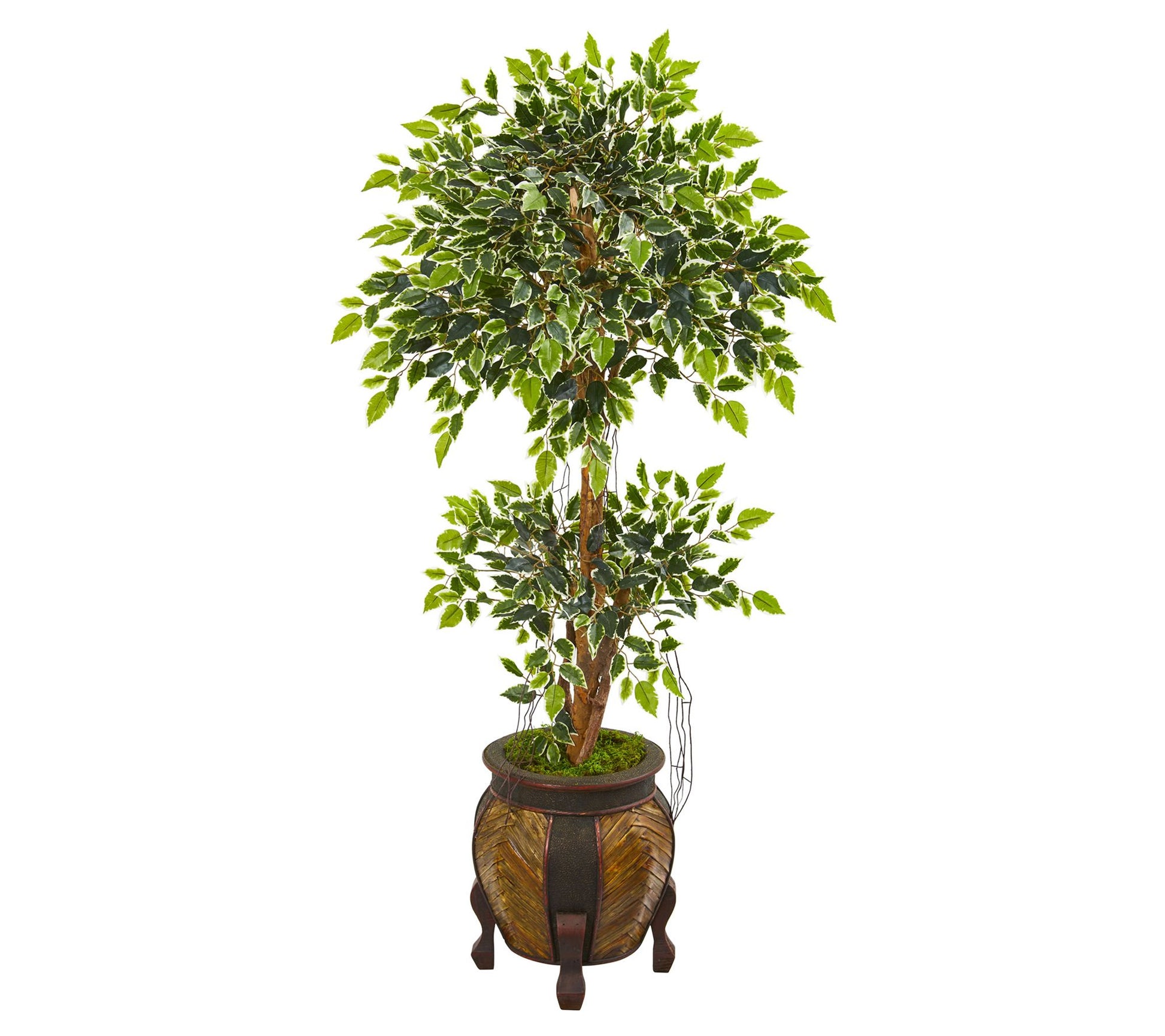 59in.  Variegated Ficus Artificial Tree in Decorative Planter