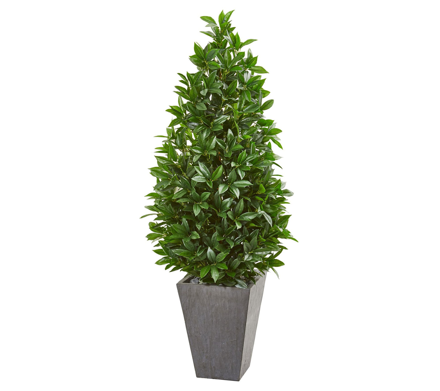 57in.  Bay Leaf Cone Topiary in Planter (Indoor/Outdoor)