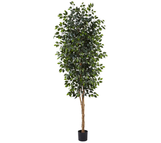8' Ficus Silk Tree by Nearly Natural