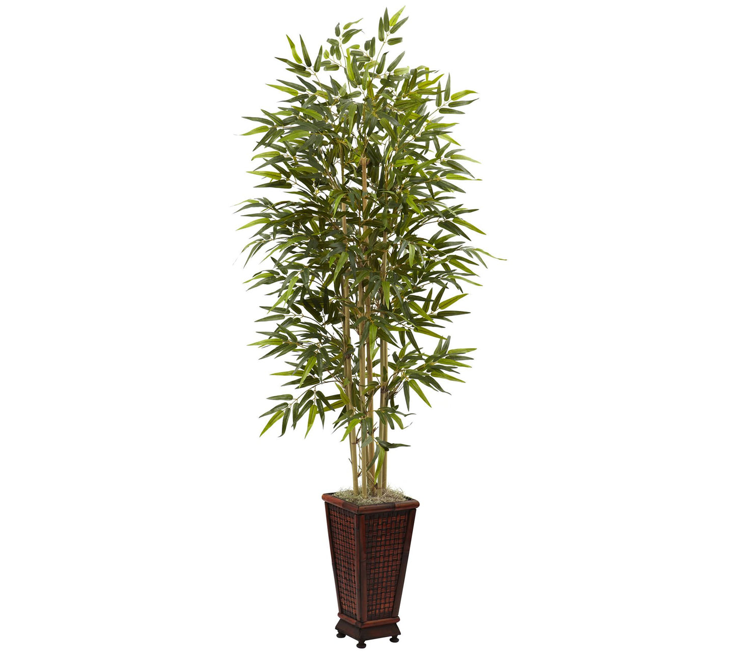 6' Bamboo Tree with Decorative Planter by Nearly Natural