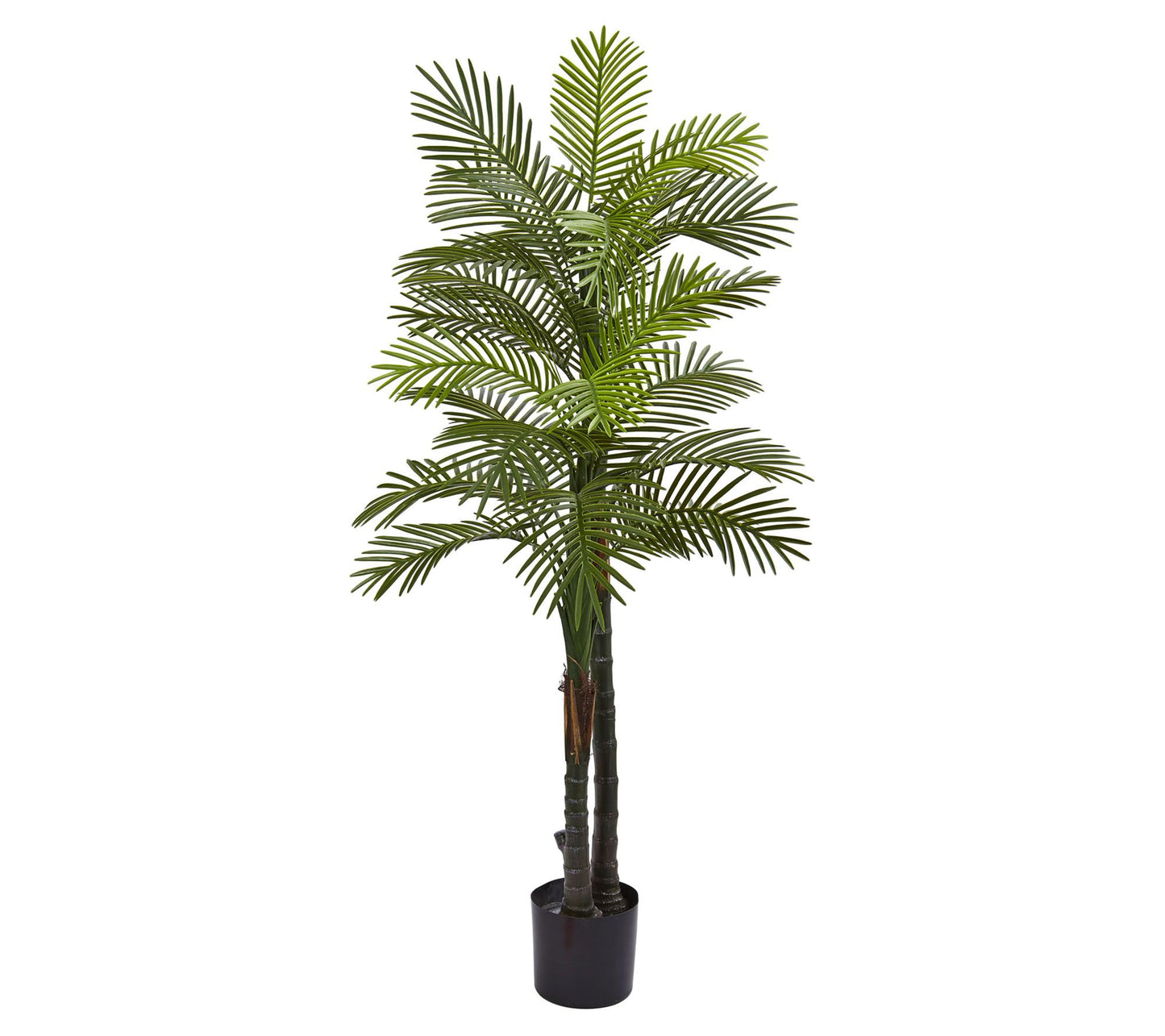 5.5' Double Robellini Palm Tree by Nearly Natural