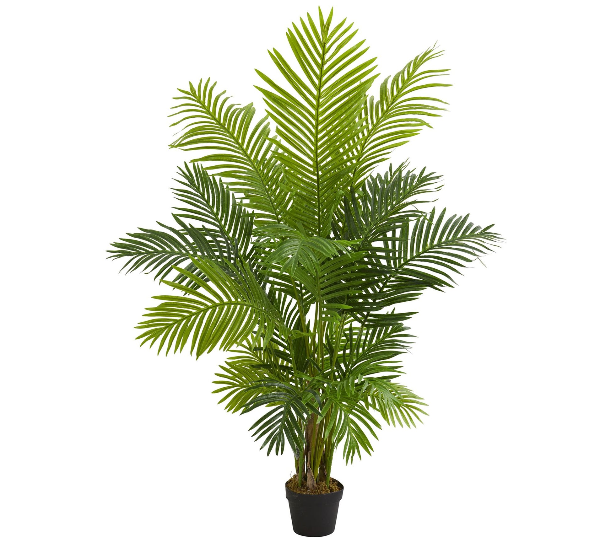 5' Hawaii Palm Artificial Tree by Nearly Natural