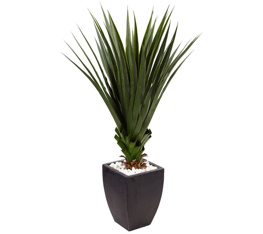 4.5' Spiked Agave in Black Planter by Nearly Natural
