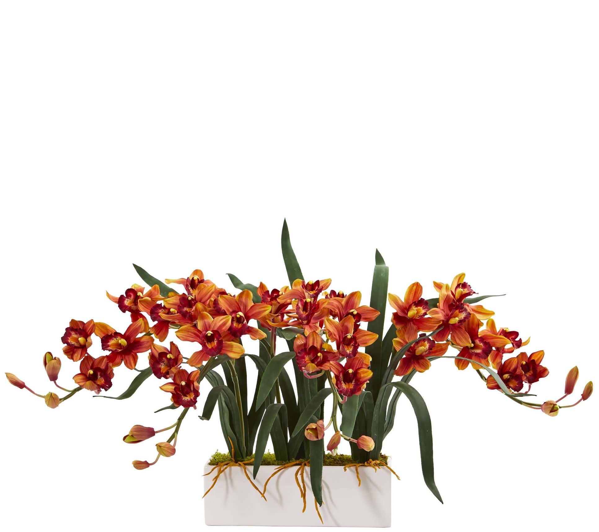 Cymbidium Arrangement in Vase by Nearly Natural