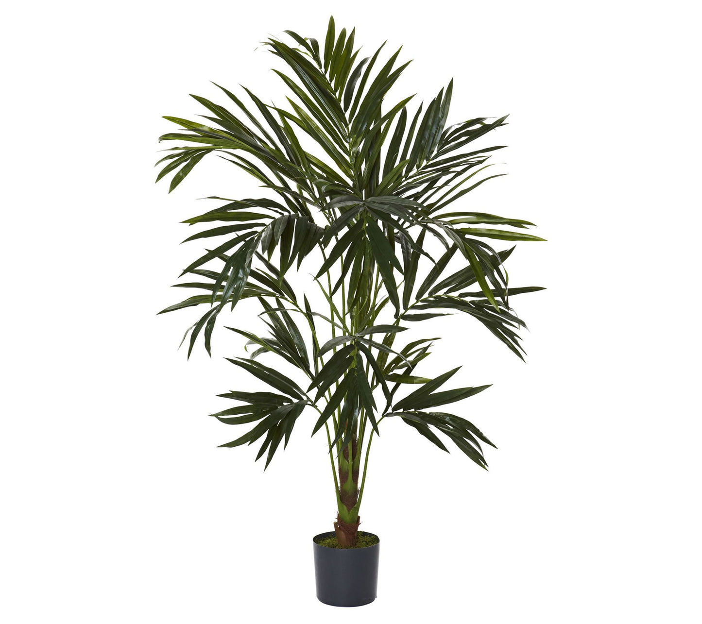6' Kentia Silk Tree by Nearly Natural