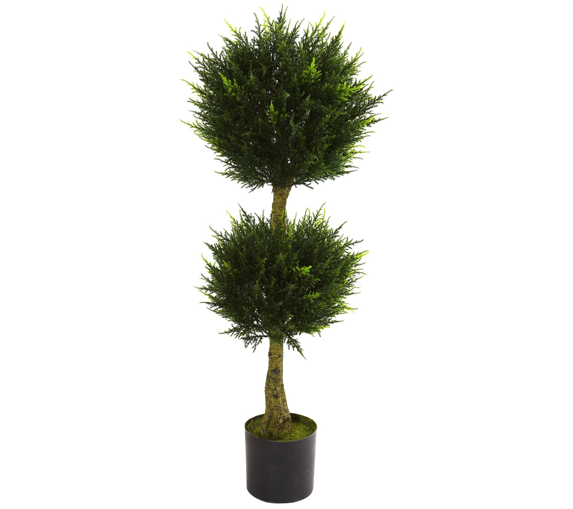 4' Double-Ball Cypress Topiary by Nearly Natural