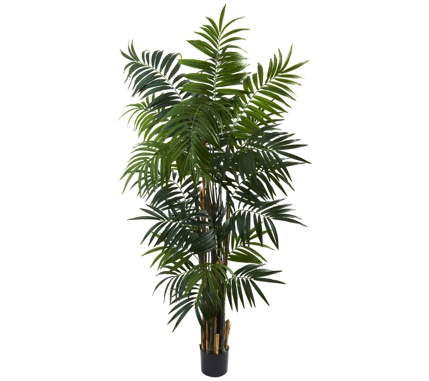 6' Bulb Areca Palm Tree by Nearly Natural