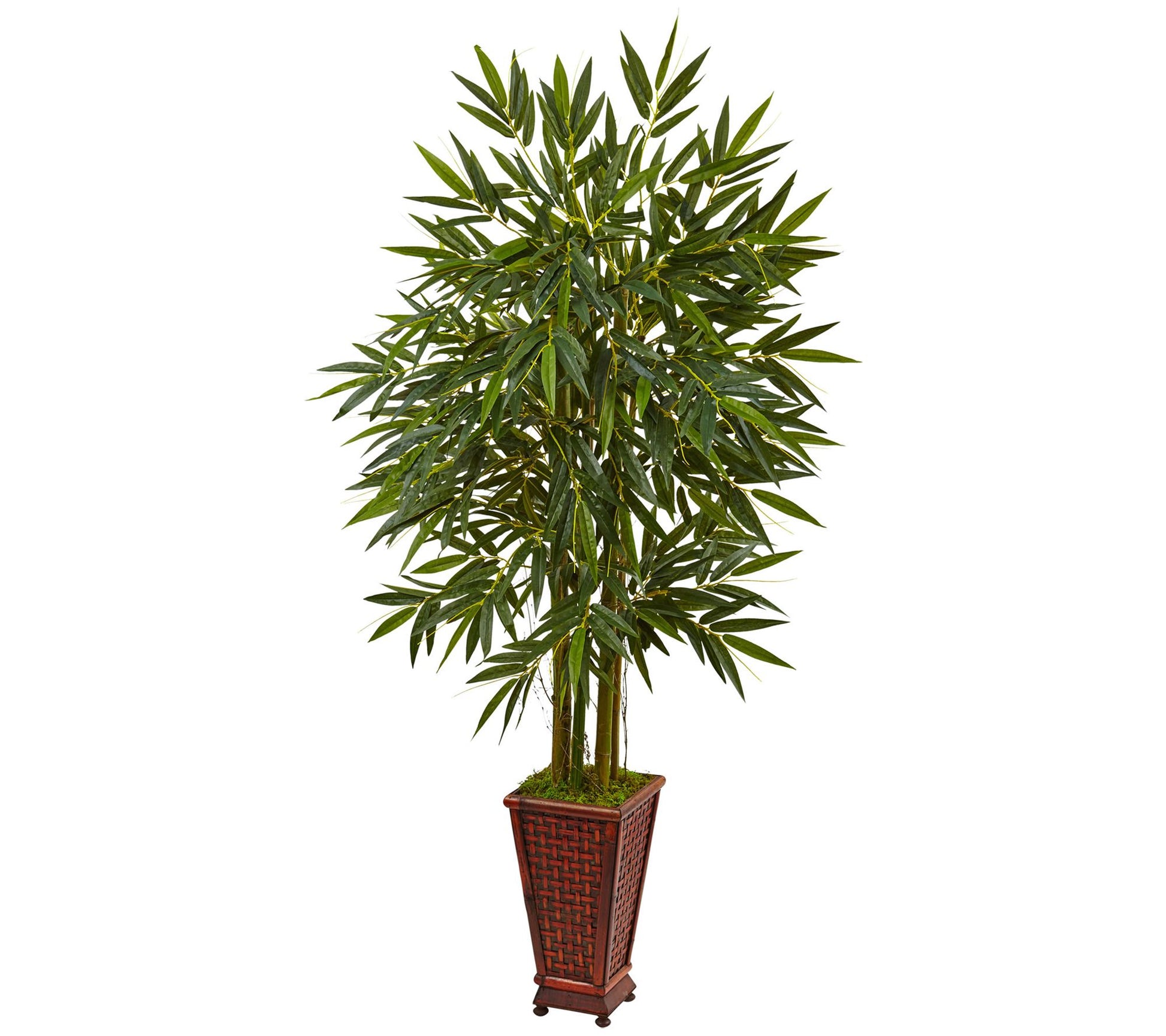 5.5' Bamboo Tree in Decorative Planter by Nearly Natural