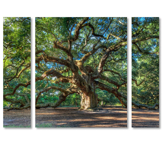 Lavish Home Pierre Leclerc Angel Oak Charleston3-Piece Print