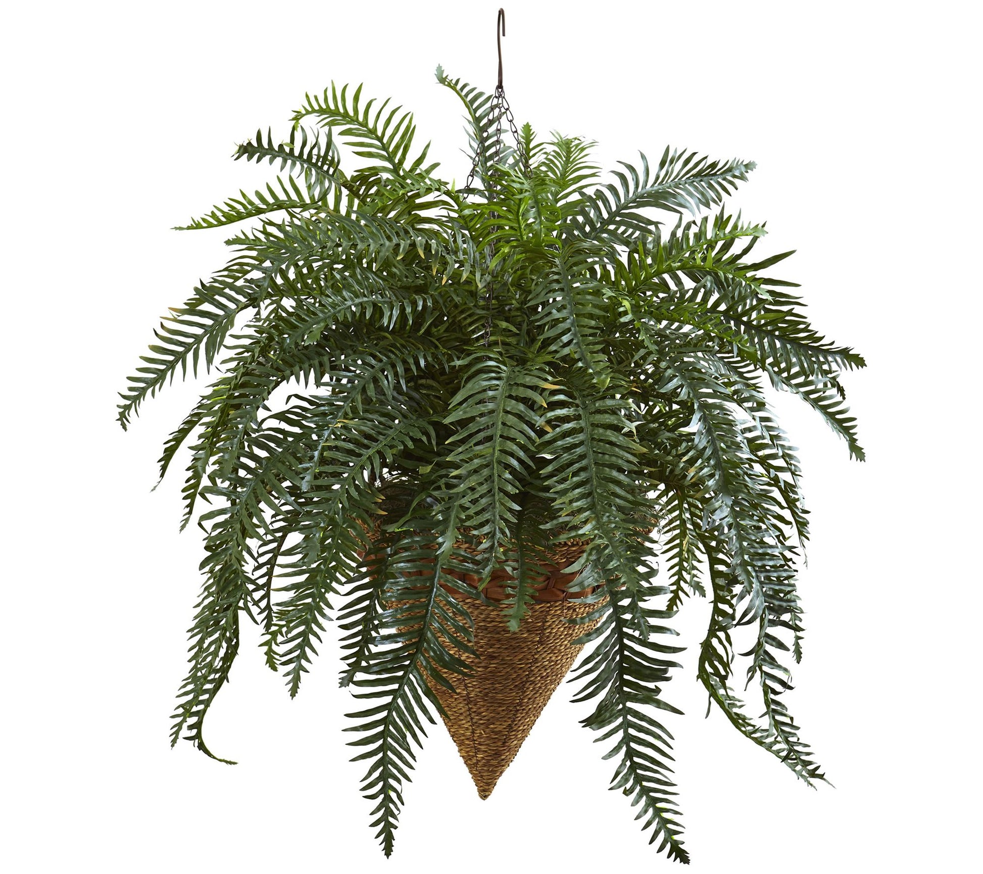 Giant River Fern with Cone Hanging Basket by Nearly Natural