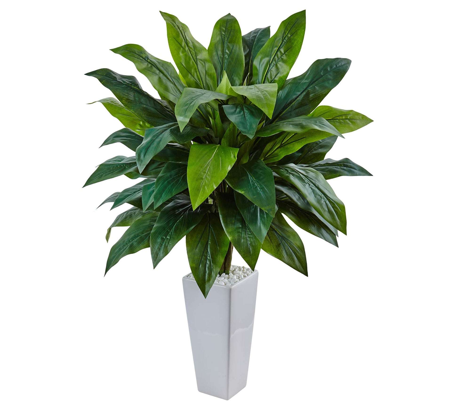 Cordyline in White Tower Planter by Nearly Natural