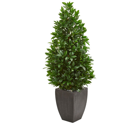 56" Bay Leaf Cone Topiary in Black Planter by Nearly Natural