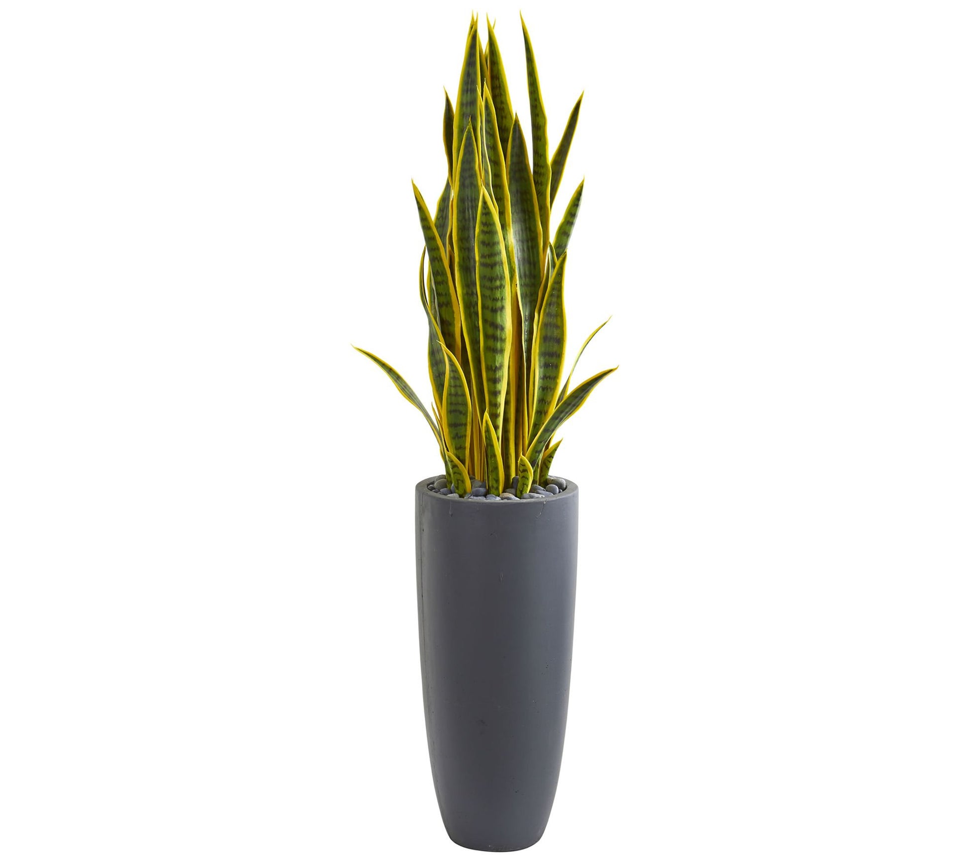 4.5' Sansevieria Plant in Gray Planter by Nearly Natural