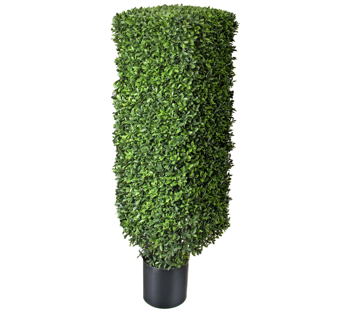 American Boxwood Square Column Topiary by Valerie