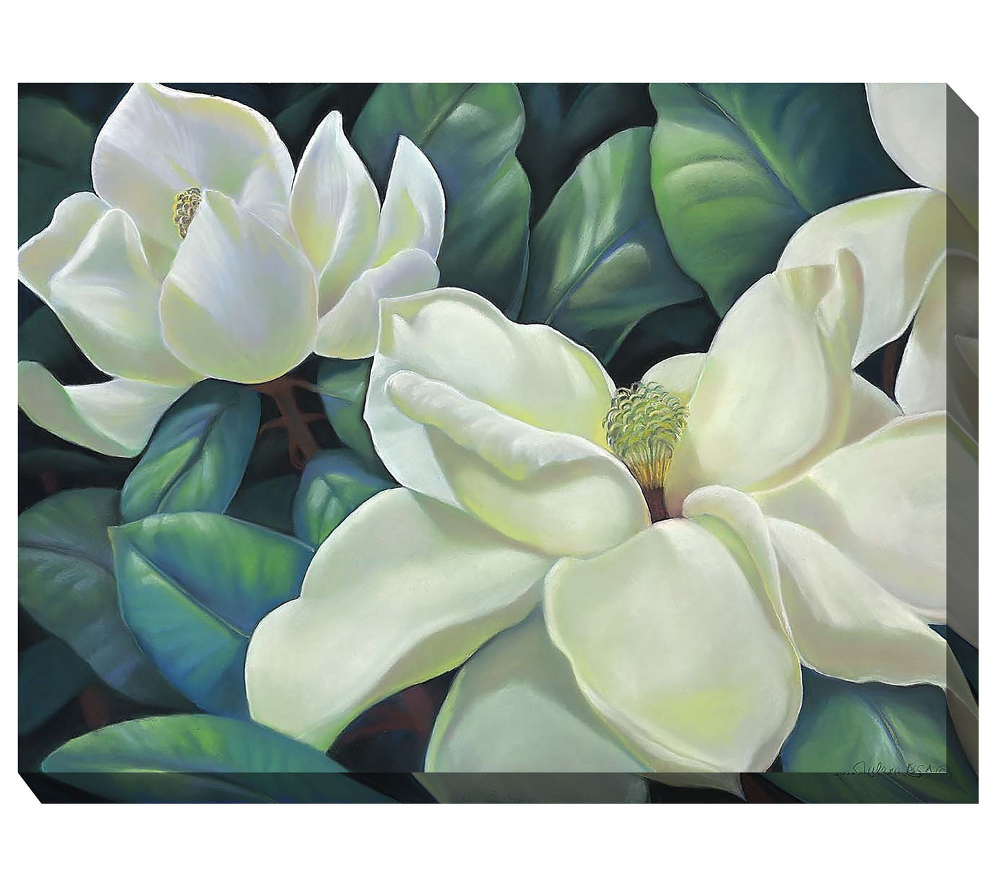 West of the Wind Southern Queen Outdoor Canvasrt 40x30