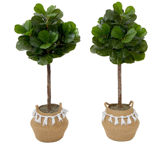 Nearly Natural S/(2) 4-ft Fiddle Leaf Fig TreeIY KIT