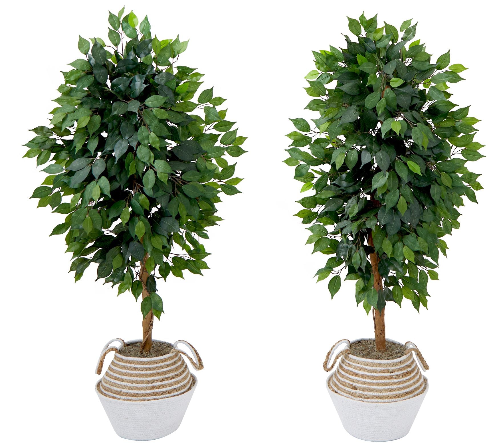 Nearly Natural S/(2) 4.5' Ficus Tree w/ Doublerunk DIY KIT