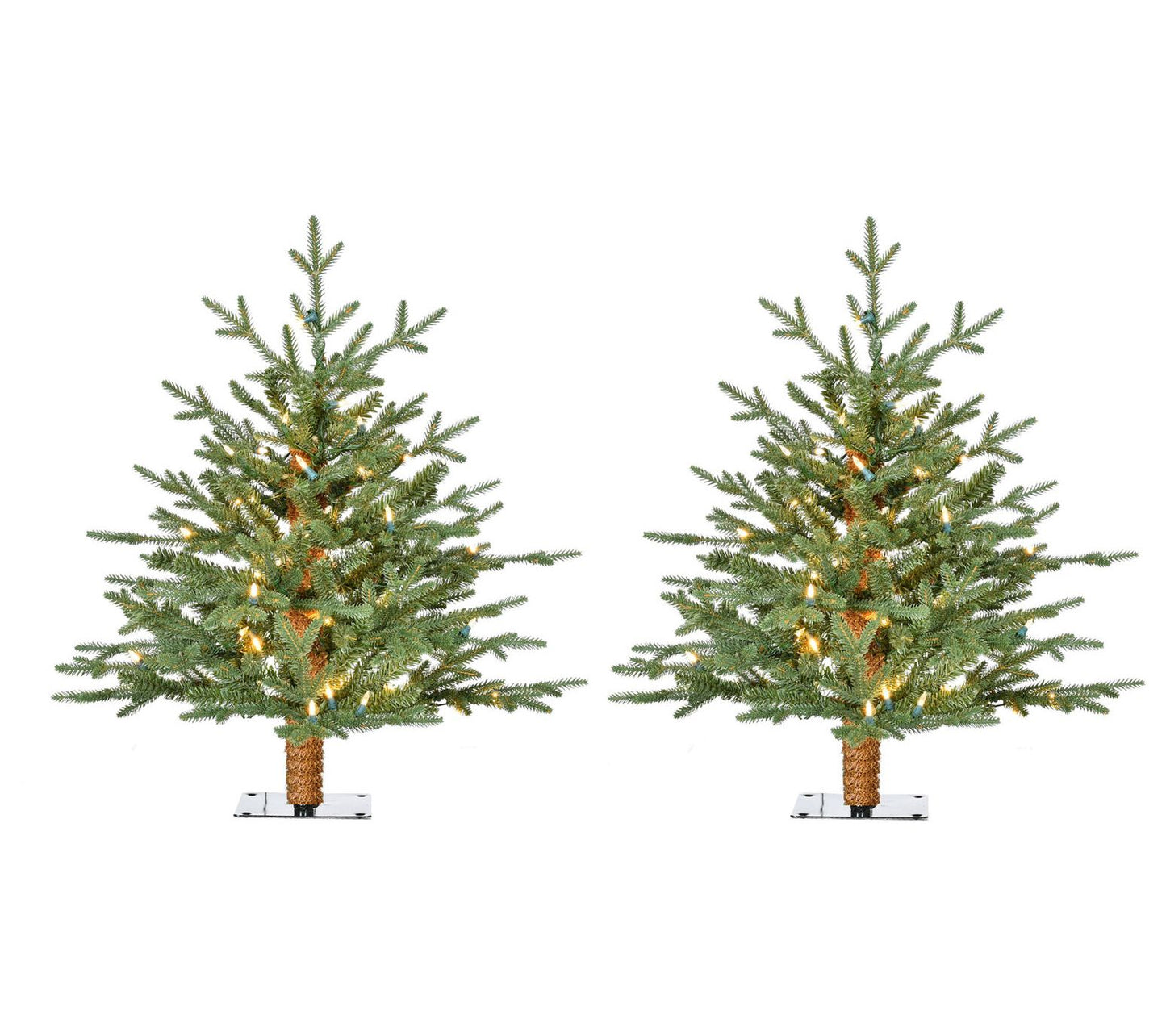 Fraser Hill Farm 2 Ft. Green Alpine Porch Accent Tree Set of 2