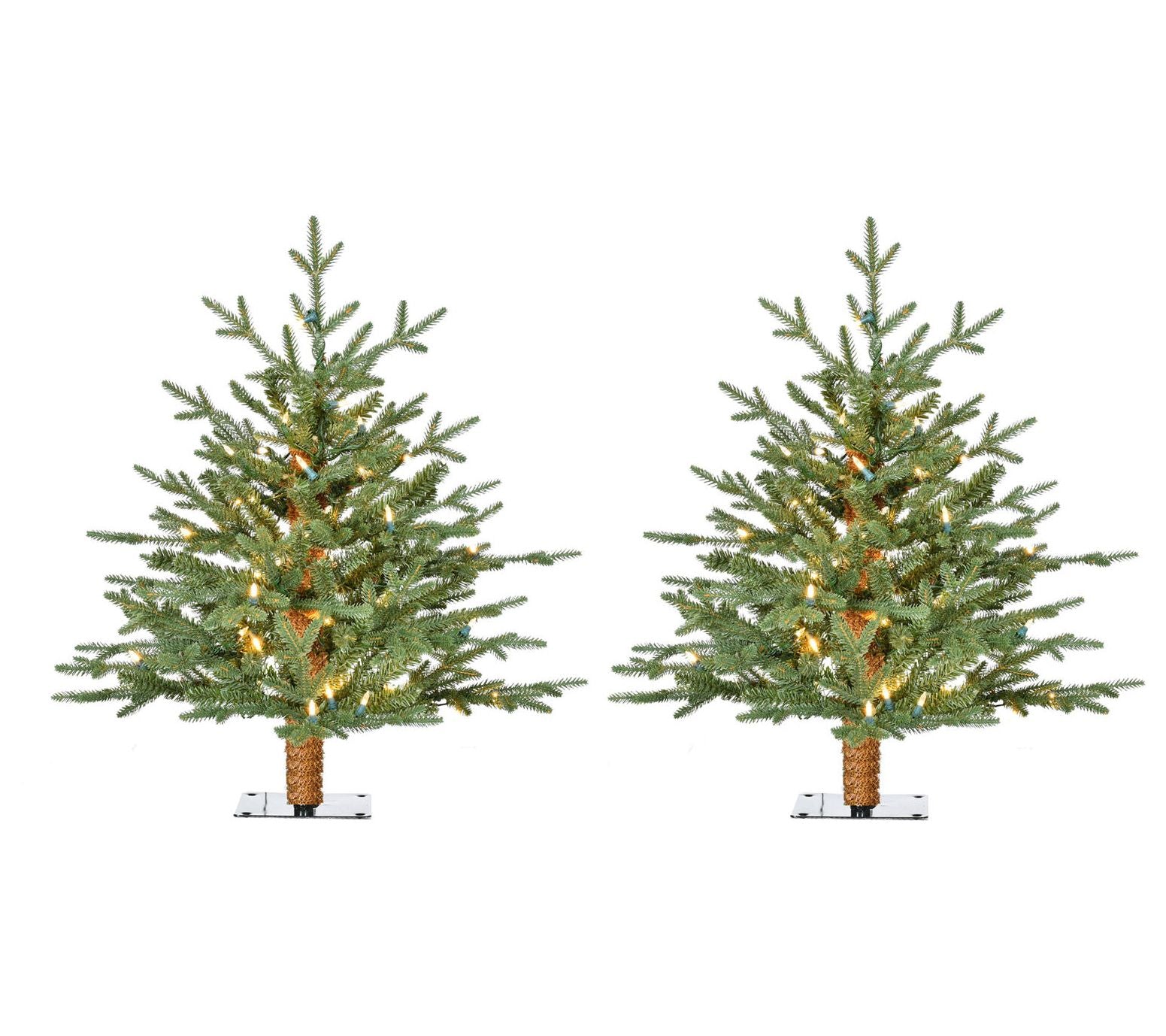 Fraser Hill Farm 2 Ft. Green Alpine Porch Accent Tree Set of 2